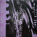 Measles Mumps Rubella – Fountain Of Youth 12'' Maxi Single Plak (Electronic)