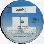 Snežana Savić – Ti Kraj Mene Nisi LP Plak - Görsel 4