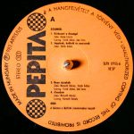 Mini – Dzsungel LP Plak (Hungarian Jazz-Rock) - Görsel 3