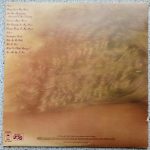 Wild Cherry – Electrified Funk LP Plak - Görsel 2