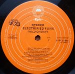 Wild Cherry – Electrified Funk LP Plak - Görsel 4