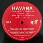 Havana – How Much You Want Me 12'' Maxi Single Plak - Görsel 2