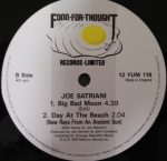 Joe Satriani – Big Bad Moon 12'' Maxi Single Plak - Görsel 3