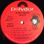 James Brown – Reality LP Plak - Görsel 4