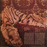 Roy Harper – Flat Baroque And Berserk LP Plak - Görsel 2