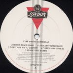 Fine Young Cannibals – Fine Young Cannibals LP Plak - Görsel 3