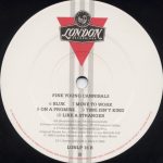Fine Young Cannibals – Fine Young Cannibals LP Plak - Görsel 4