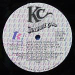 KC And The Sunshine Band - KC And The Sunshine Band LP Plak - Görsel 3