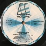Rick James – Garden Of Love LP Plak - Görsel 4