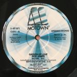Rick James – Garden Of Love LP Plak - Görsel 3