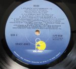 Grace Jones – Muse LP Plak - Görsel 4