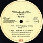 Afrika Bambaataa And Family – Reckless 12'' Maxi Single Plak - Görsel 4