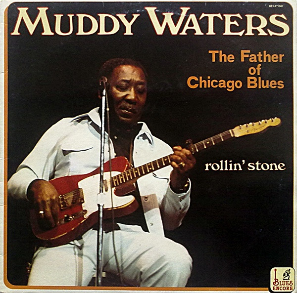 Muddy Waters – The Father Of Chicago Blues (Rollin' Stone) LP Plak