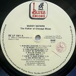 Muddy Waters – The Father Of Chicago Blues (Rollin' Stone) LP Plak - Görsel 3