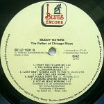 Muddy Waters – The Father Of Chicago Blues (Rollin' Stone) LP Plak - Görsel 4
