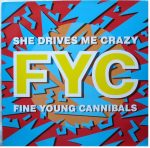 Fine Young Cannibals – She Drives Me Crazy 12'' Maxi Single Plak