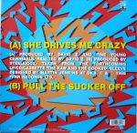 Fine Young Cannibals – She Drives Me Crazy 12'' Maxi Single Plak - Görsel 2