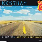WestBam – Right On / Like Ice In The Sunshine CD Single (Electro)