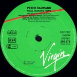 Peter Baumann – Trans Harmonic Nights LP Plak - Görsel 3