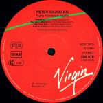 Peter Baumann – Trans Harmonic Nights LP Plak - Görsel 4