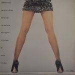 Tina Turner – Private Dancer LP Plak - Görsel 2