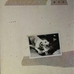 Fleetwood Mac – Tusk 2LP Plak