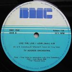 Fantasy / TV Sounds Orchestra – Live The Life I Love 12'' Maxi Single Plak - Görsel 3