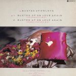 Fiona Franklyn – Busted Up On Love 12'' Maxi Single Plak - Görsel 2