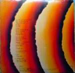 Stevie Wonder – Songs In The Key Of Life 2LP Plak - Görsel 2