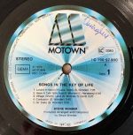 Stevie Wonder – Songs In The Key Of Life 2LP Plak - Görsel 4