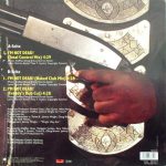 Turbo B. Feat. Thea T. Austin – I'm Not Dead 12'' Maxi Single Plak (Early House) - Görsel 2