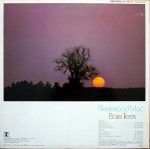 Fleetwood Mac – Bare Trees LP Plak - Görsel 2